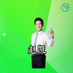 赵凯